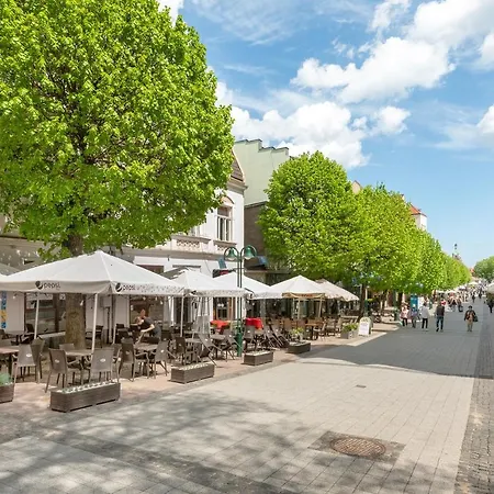 Monte Cassino By Renters アパート ソポト