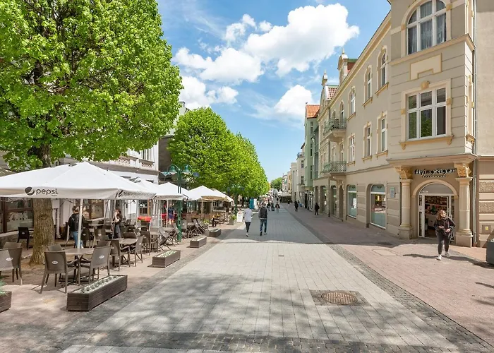 Monte Cassino By Renters *